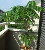 離婚前のカウンセリング～離婚したくない方へ