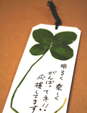 離婚前のカウンセリング～離婚したくない方へ